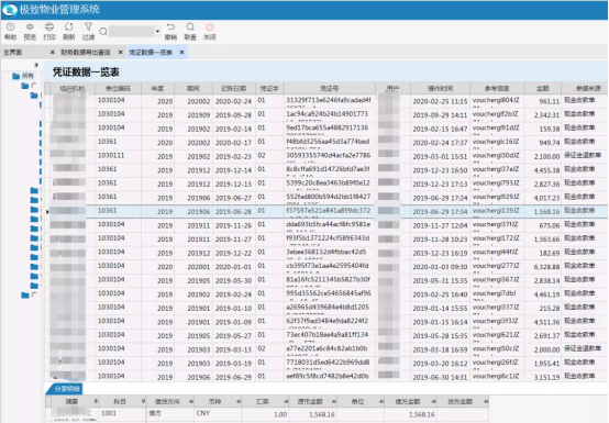凭证数据一览表